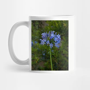 The Blue Bloom Mug